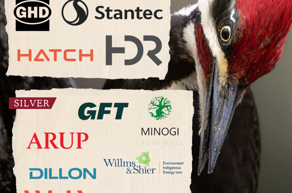 Sponsors