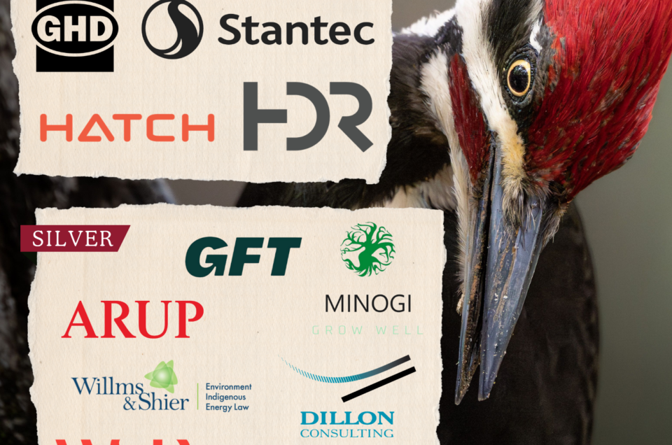 Sponsors